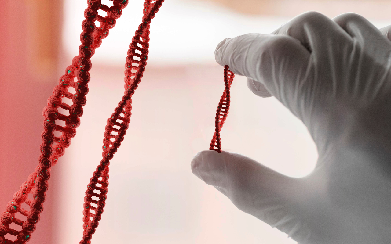 Miten edistynyt on kaikkien maapallon lajien DNA:n dekoodaaminen?