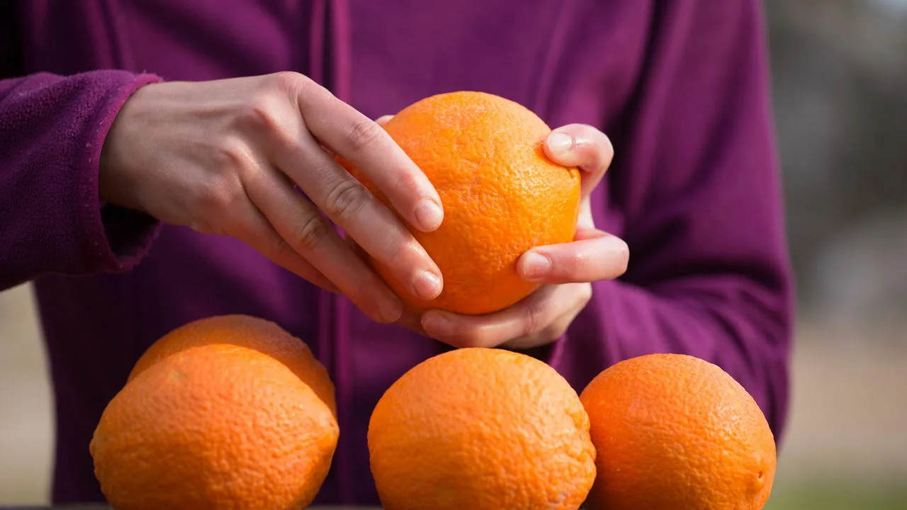 Oranssinkuorien valmistaminen liedellä: miksi sitä tarvitaan ja milloin se tehdään.
