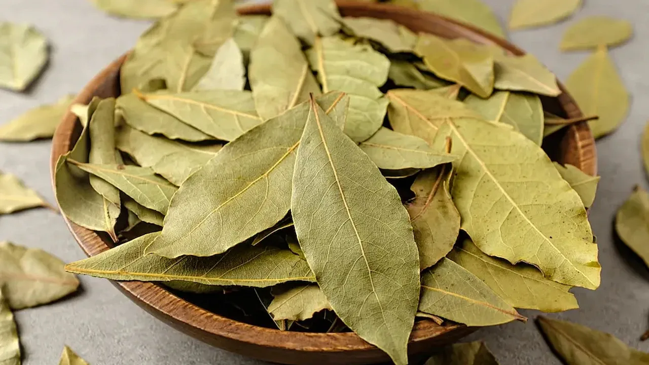 Laakerinlehtien sekoittaminen pesuaineeseen: miksi se on suositeltavaa ja mihin se on hyödyllistä.