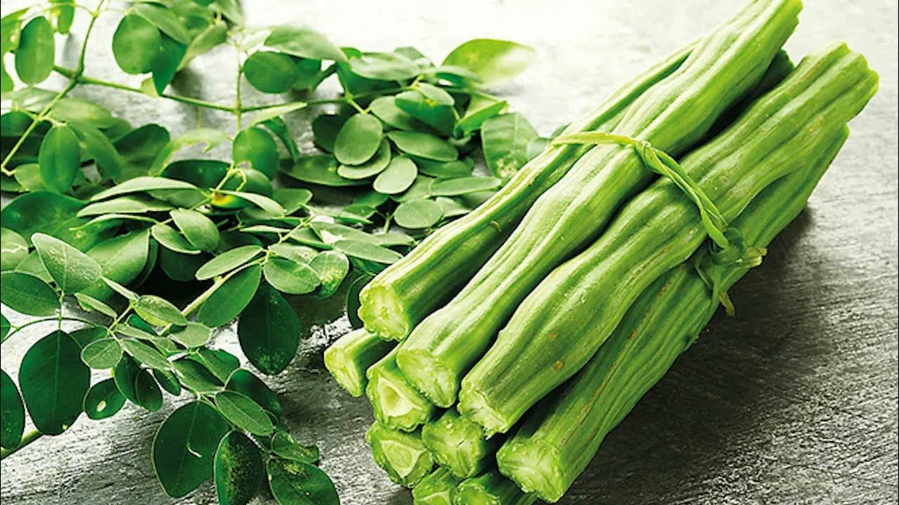 Moringa: mihin käytetään kasvia, joka tunnetaan nimellä ”elämän puu”?