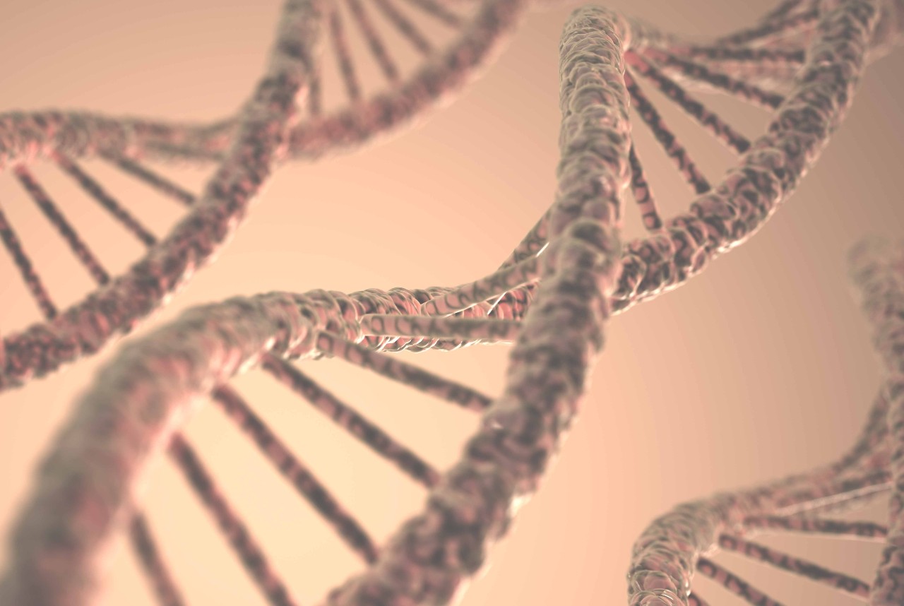 Ennennäkemätön tieteellinen läpimurto: ruotsalaiset tutkijat ovat onnistuneesti eristäneet DNA:ta 130 vuotta sitten sukupuuttoon kuolleesta eläimestä.