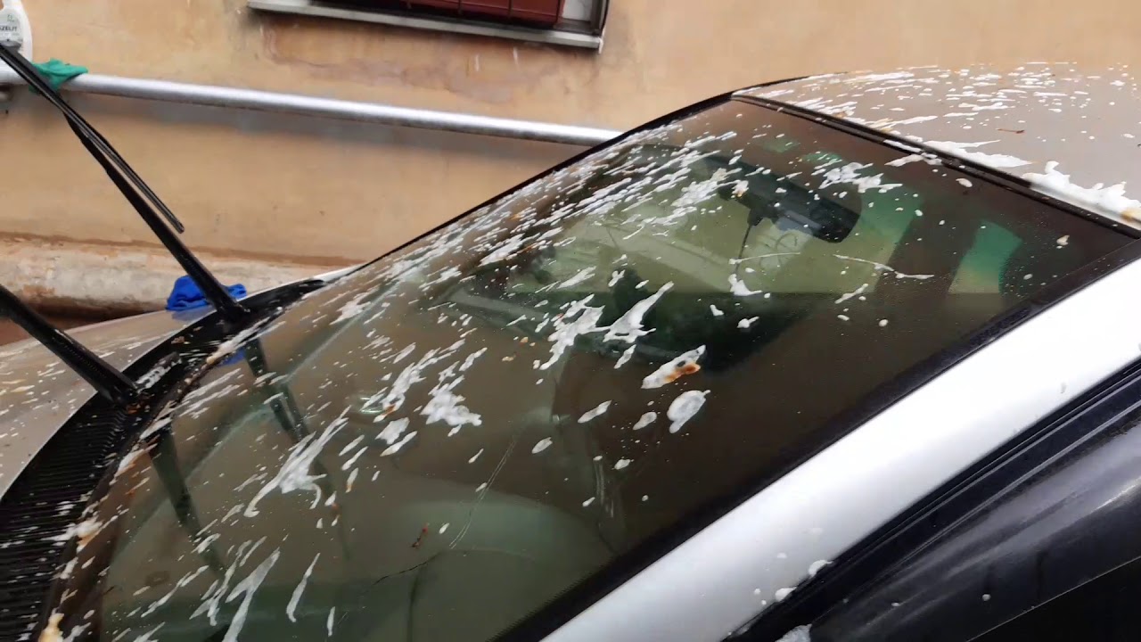 Vesi tai alkoholi eivät auta: helppo tapa puhdistaa auto lintujen ulosteista ja jättää se täysin puhtaaksi.