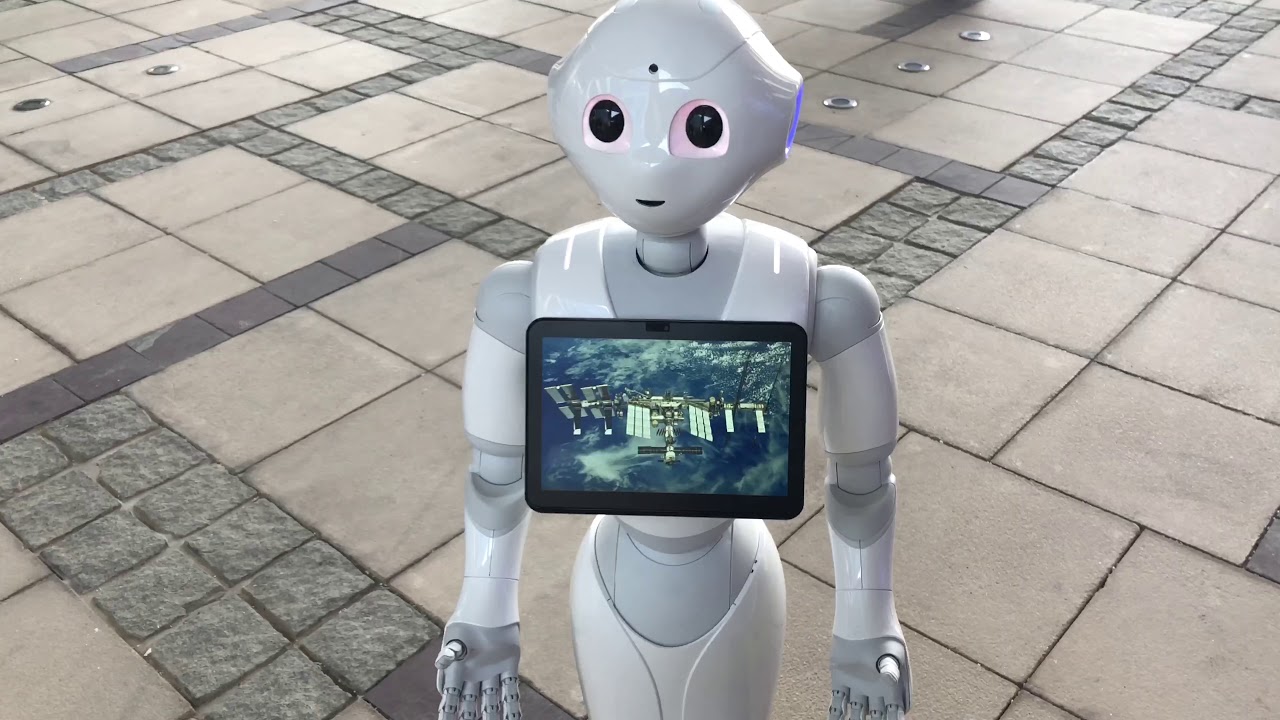 Pepper on ensimmäinen ihmisen kaltainen robotti, joka on otettu sarjatuotantoon ja merkitty Guinnessin ennätyskirjaan.