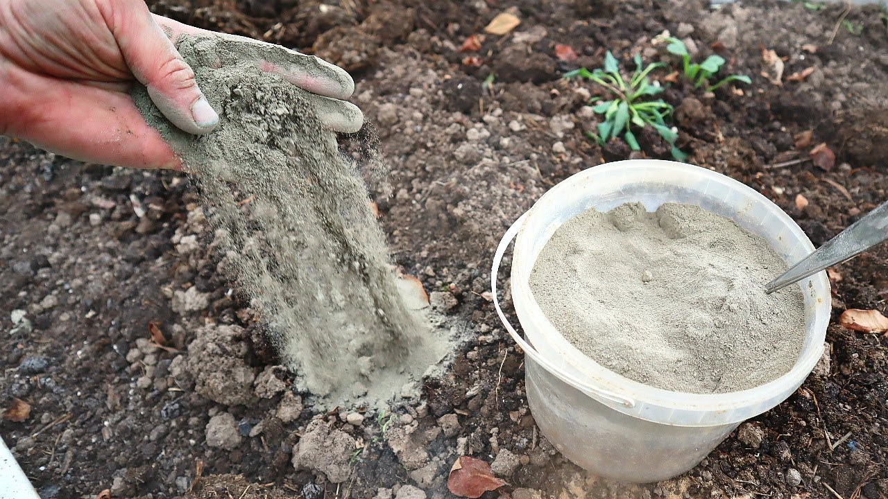 Kuinka ripotella kasveille grillihiiltä: miten se tehdään ja mitä etuja siitä on.