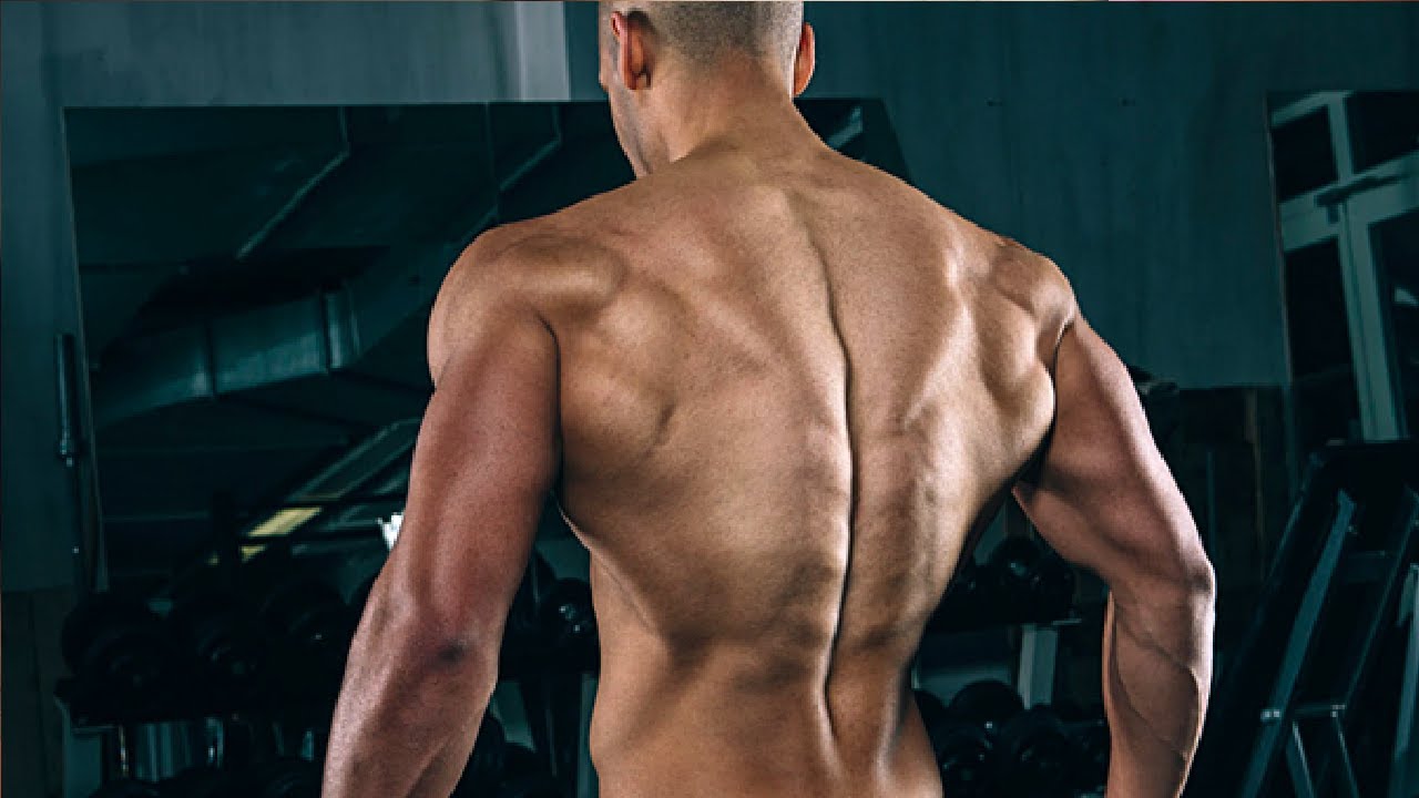 Hantelharjoitukset ovat hienoja, mutta voit myös vahvistaa selkääsi tekemällä tämän harjoituksen kotona.