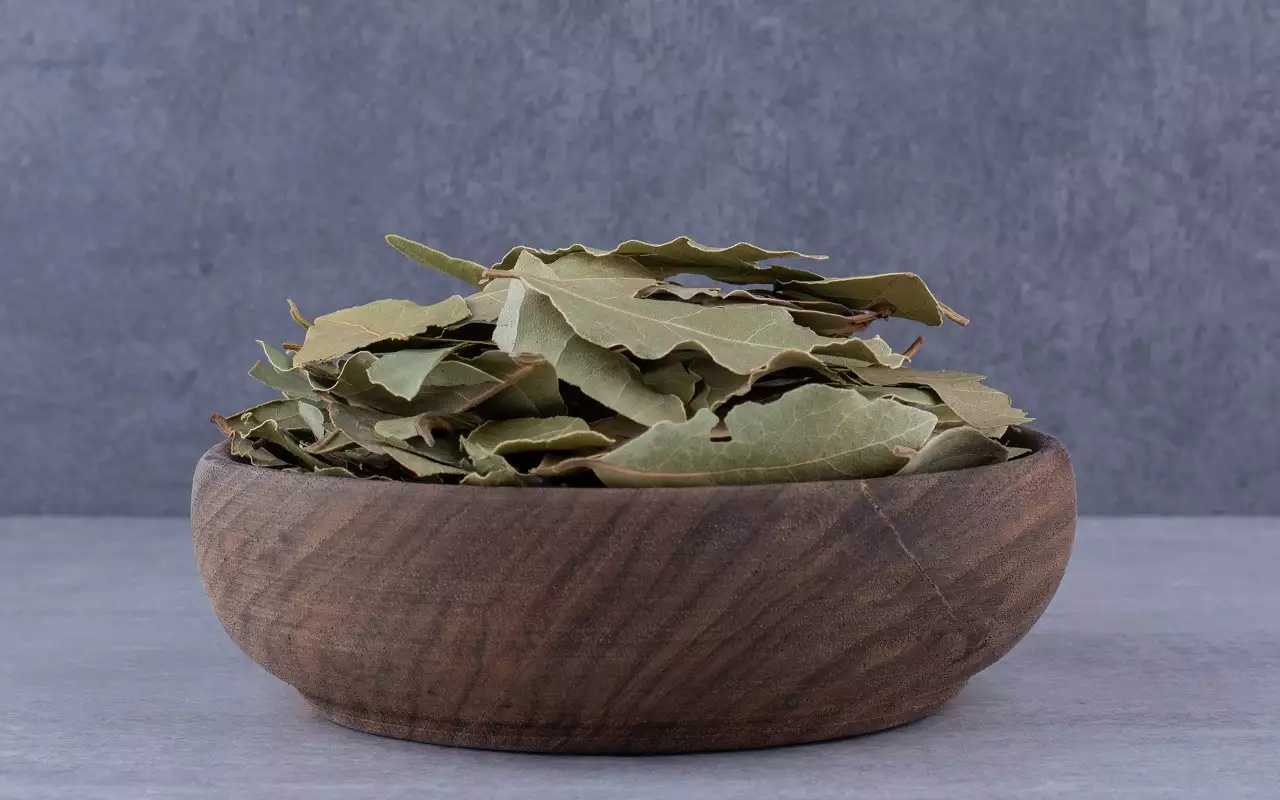 Kurkun viipaleiden valmistus laakerinlehdillä: mitä hyötyä siitä on ja miten sitä käytetään asiantuntijoiden mukaan.