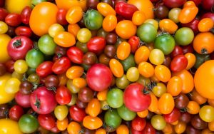 Tutkijat ovat keksineet tomaattien viljelyjärjestelmän, joka käyttää puolet vähemmän vettä ja lannoitteita.