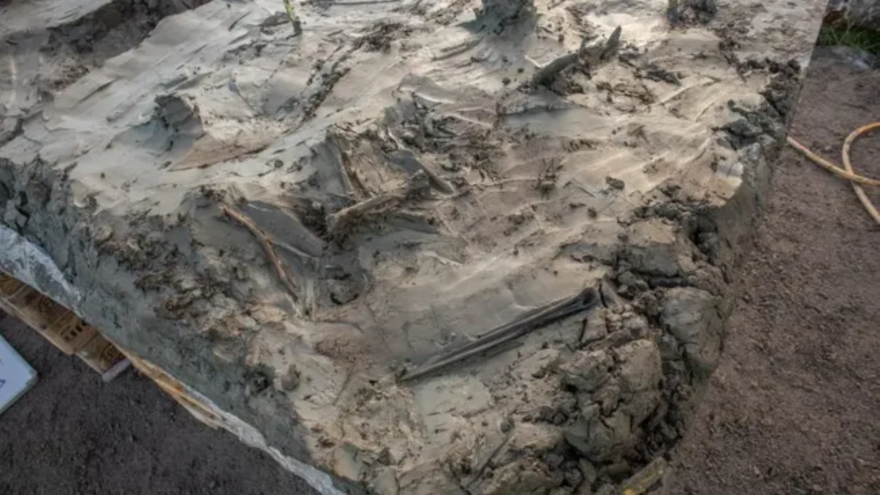 Nämä ovat Las Ramblas -kadun kunnostustöiden aikana löydettyjä arkeologisia löytöjä, joiden arvo on lähes 2 miljoonaa euroa.